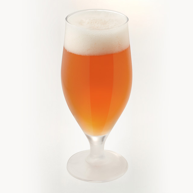 季節のビール「でんの風」2017 ALE TYPE