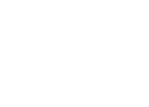 DEN BEER